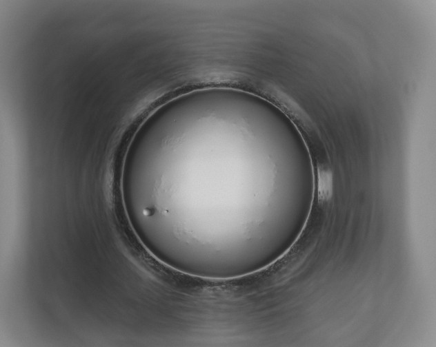 X0000110980627200906261430