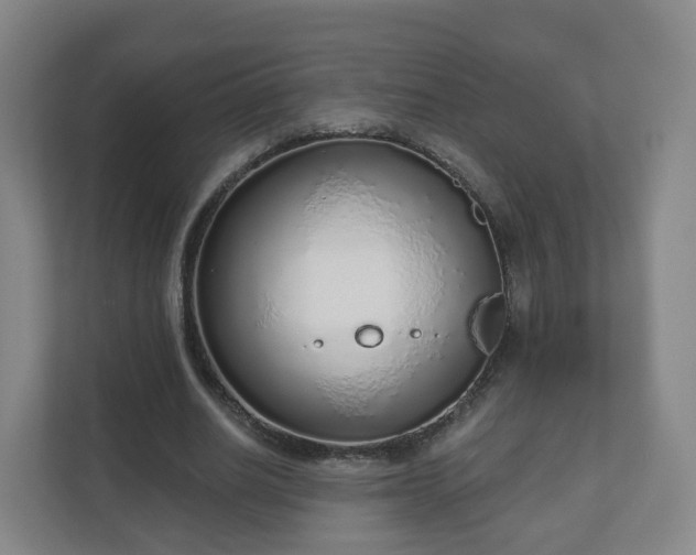 X0000110980630200906261430