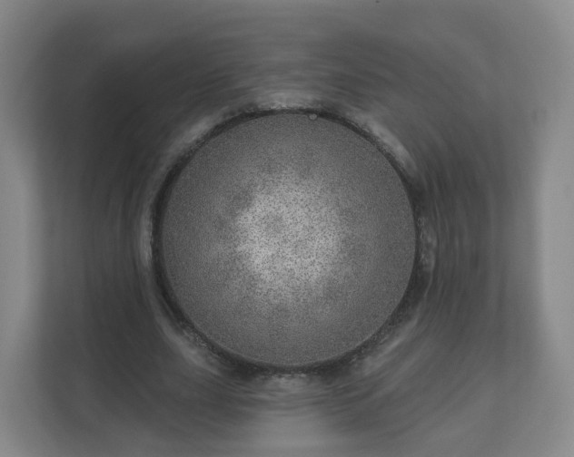 X0000110980631200906261430