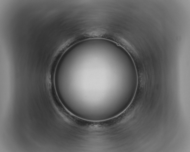 X0000110980634200906261430