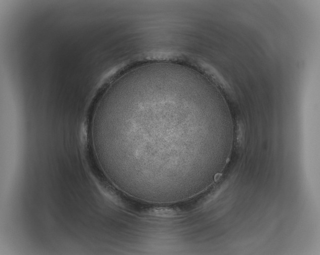 X0000110980636200906261430