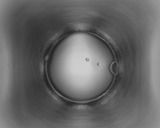 X0000110980637200906261430