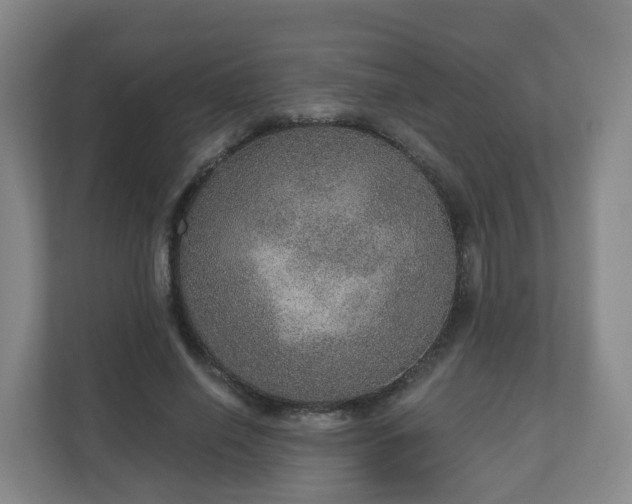 X0000110980638200906261430