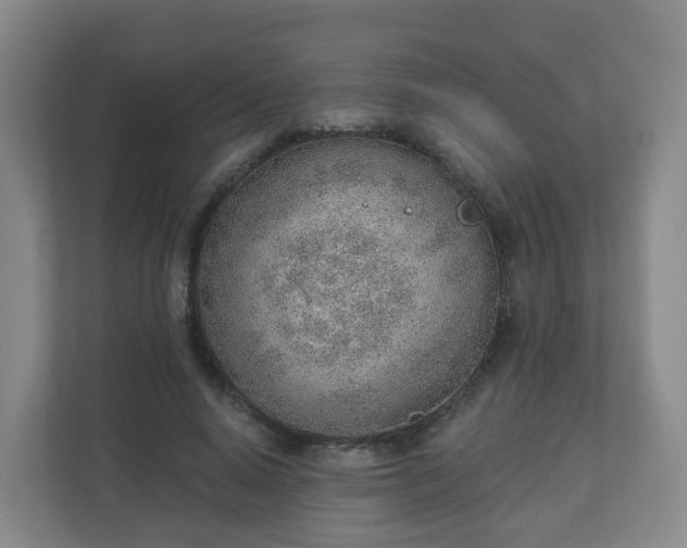 X0000110980640200906261430