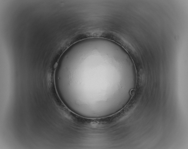 X0000110980641200906261430