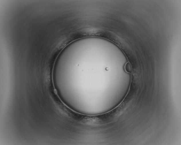 X0000110980642200906261430