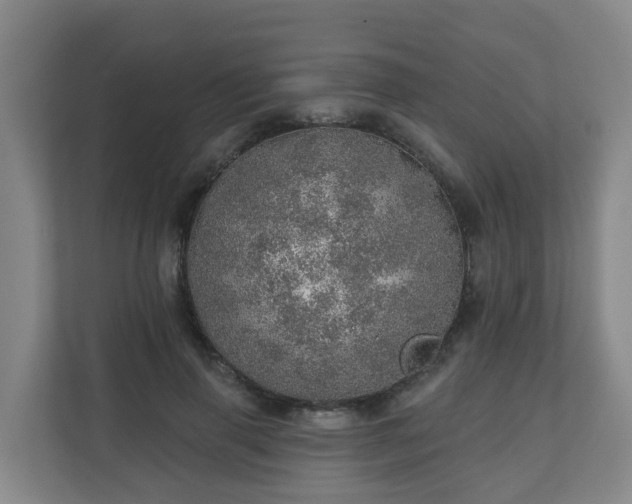 X0000110980645200906261430