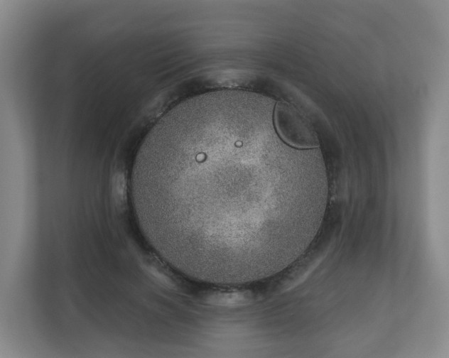 X0000110980646200906261430