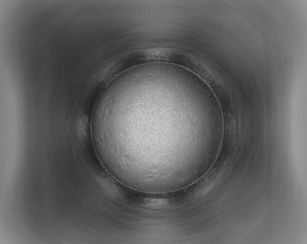 X0000110980649200906261430