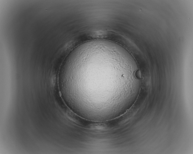 X0000110980652200906261430