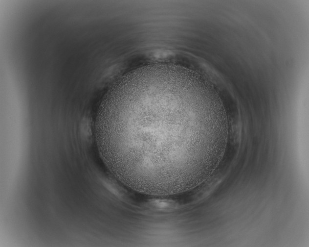 X0000110980654200906261430