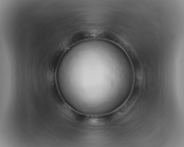 X0000110980657200906261430