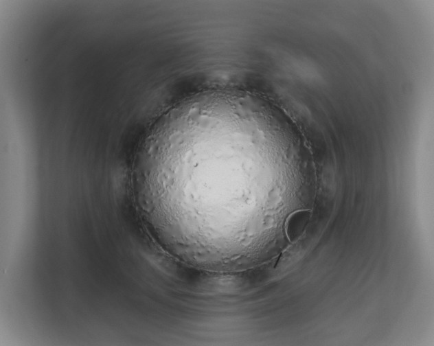 X0000110980659200906261430