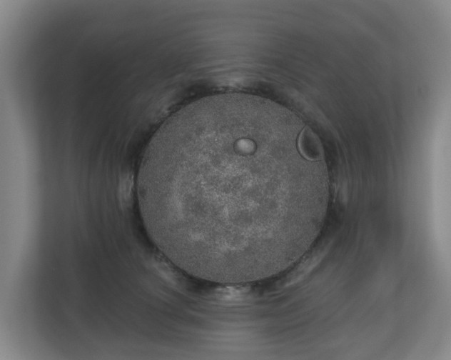 X0000110980660200906261430