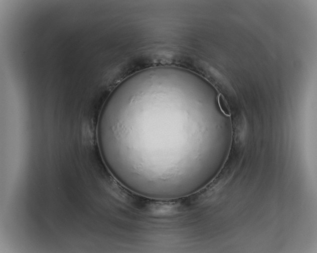 X0000110980661200906261430