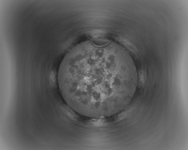 X0000110980667200906261430