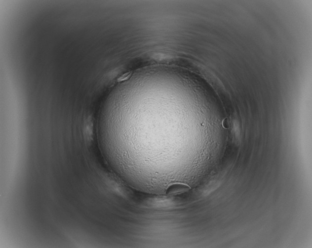 X0000110980668200906261430