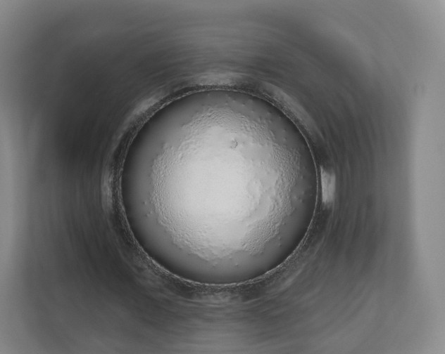 X0000110980675200906261430