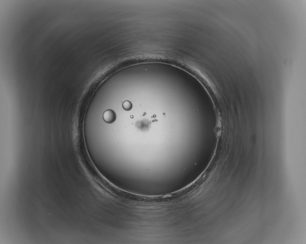 X0000110980677200906261430