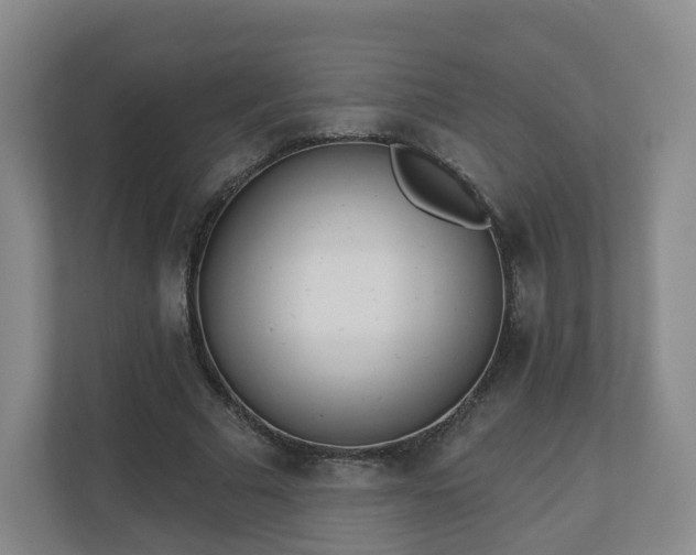 X0000110980681200906261430