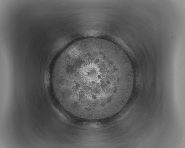 X0000110980683200906261430