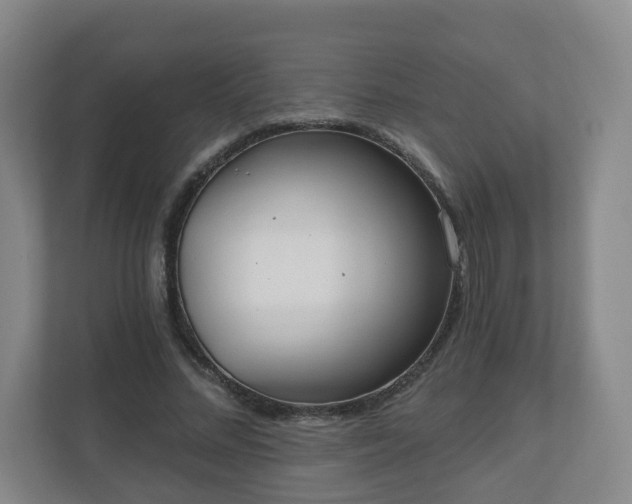 X0000110980684200906261430