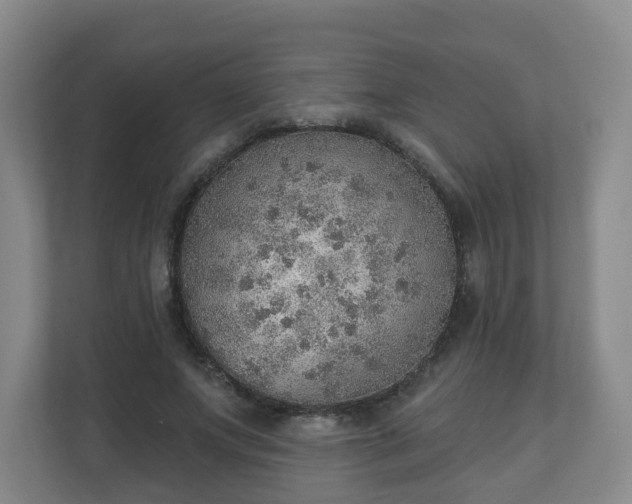 X0000110980687200906261429