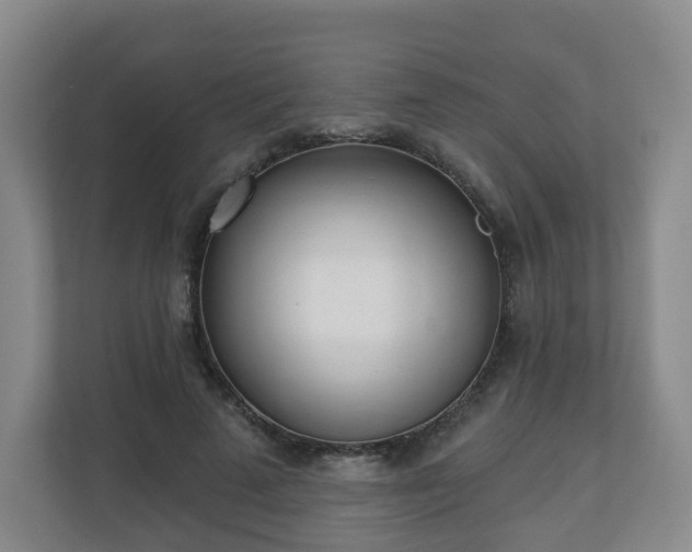 X0000110980689200906261429