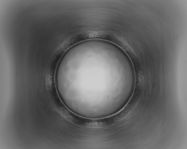 X0000110980691200906261429