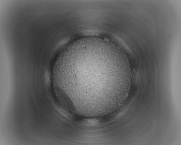 X0000110980692200906261429