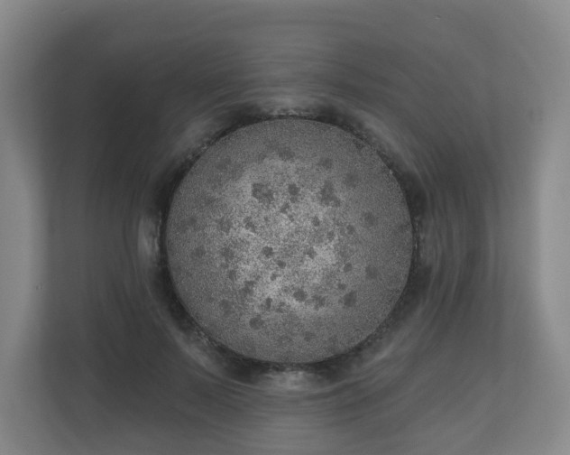 X0000110980695200906261429