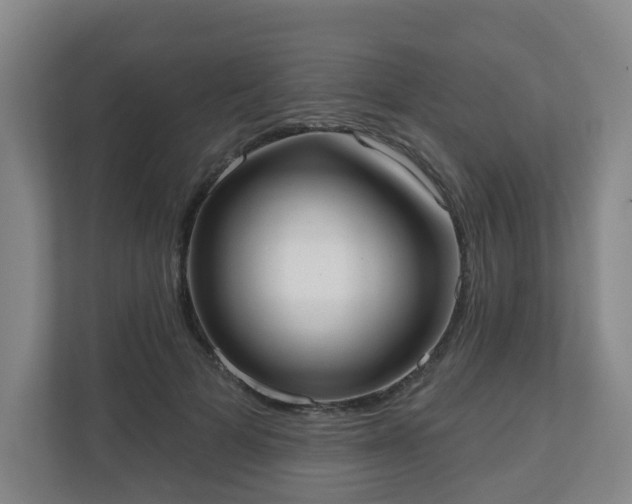 X0000110980697200906261429