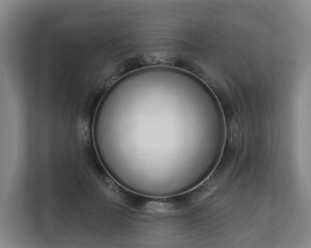 X0000110980699200906261429