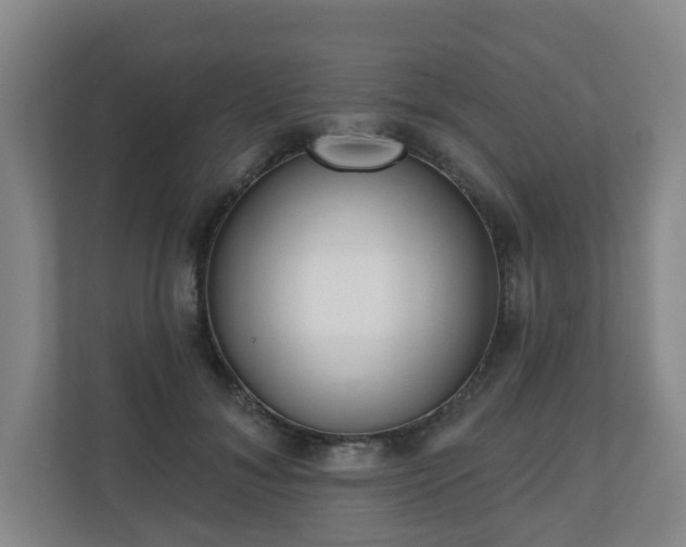 X0000110980700200906261429