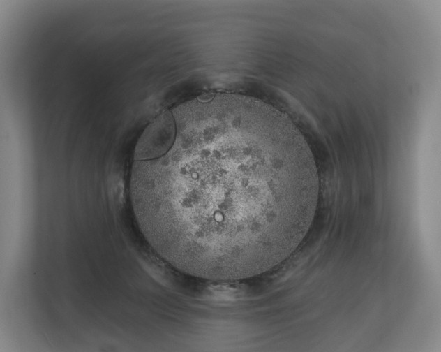 X0000110980703200906261429