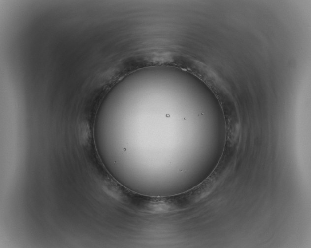 X0000110980704200906261429