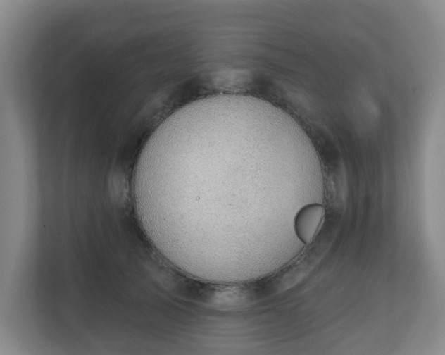 X0000110980705200906261429