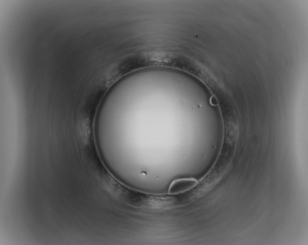 X0000110980707200906261429