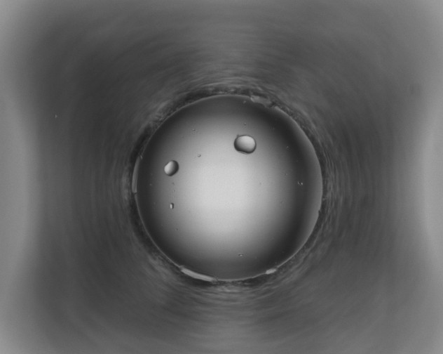 X0000110980708200906261429