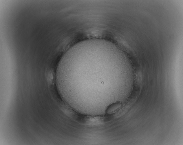 X0000110980709200906261429