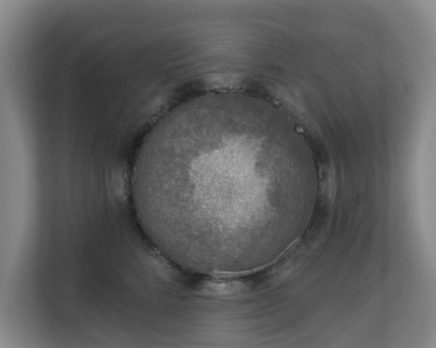 X0000110980712200906261429