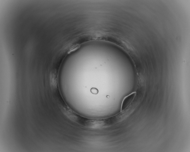 X0000110980719200906261429