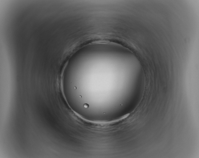 X0000110980720200906261429