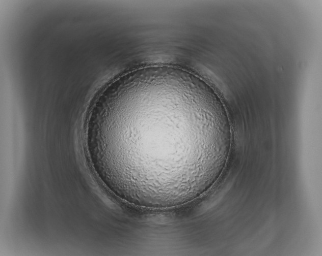 X0000110980721200906261428