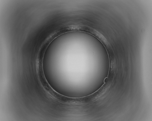 X0000110980722200906261428