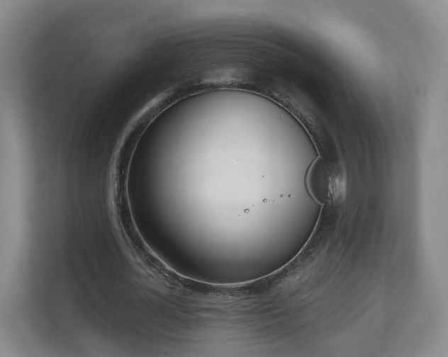 X0000110980724200906261428