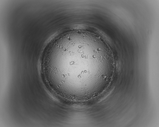 X0000110980725200906261428