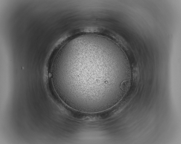 X0000110980727200906261428