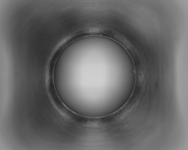 X0000110980728200906261429