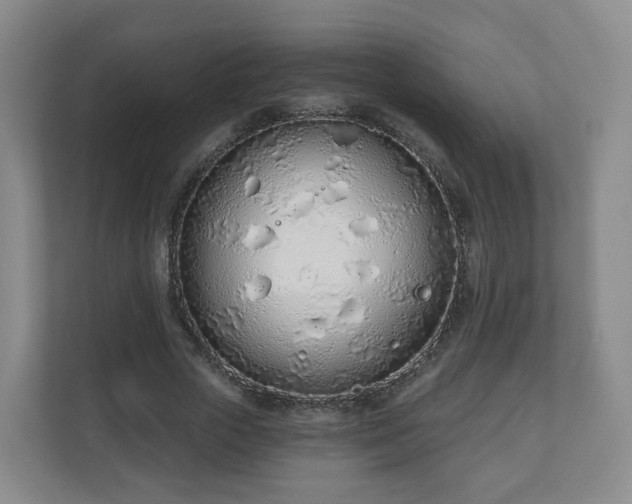 X0000110980729200906261429